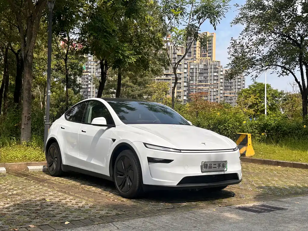 Tesla Model Y — фото 3