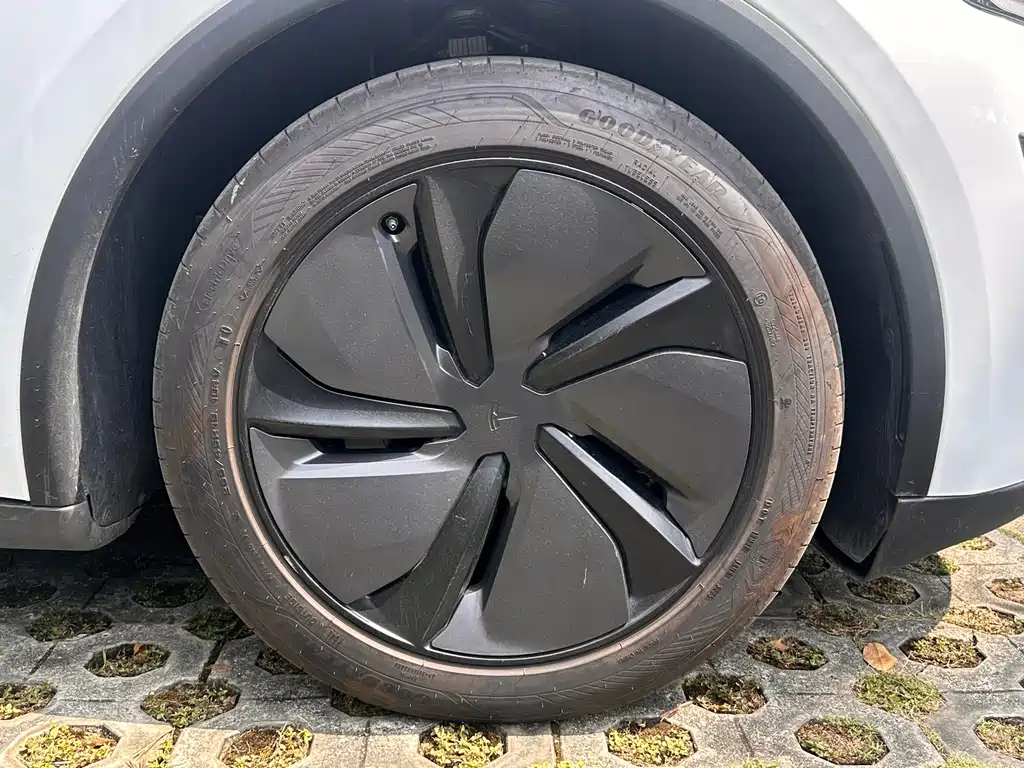 Tesla Model Y — фото 22