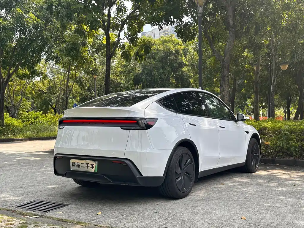 Tesla Model Y — фото 4