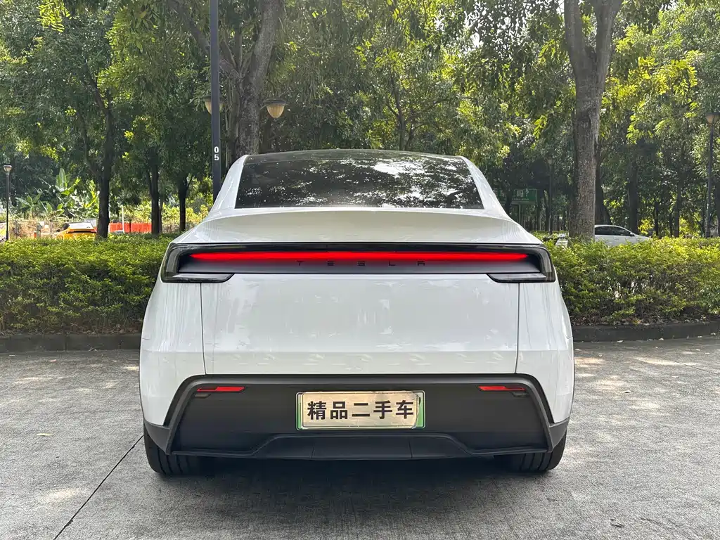 Tesla Model Y — фото 5