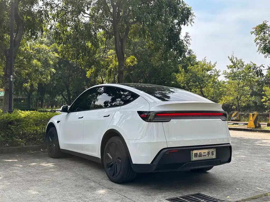 Tesla Model Y — фото 6
