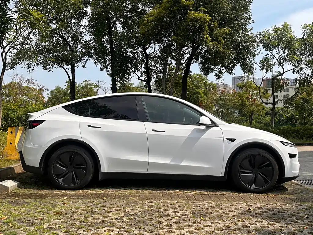 Tesla Model Y — фото 7