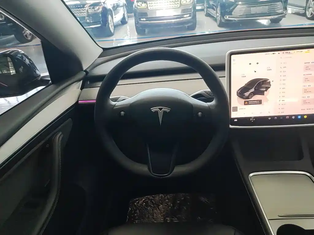 Tesla Model Y — фото 11