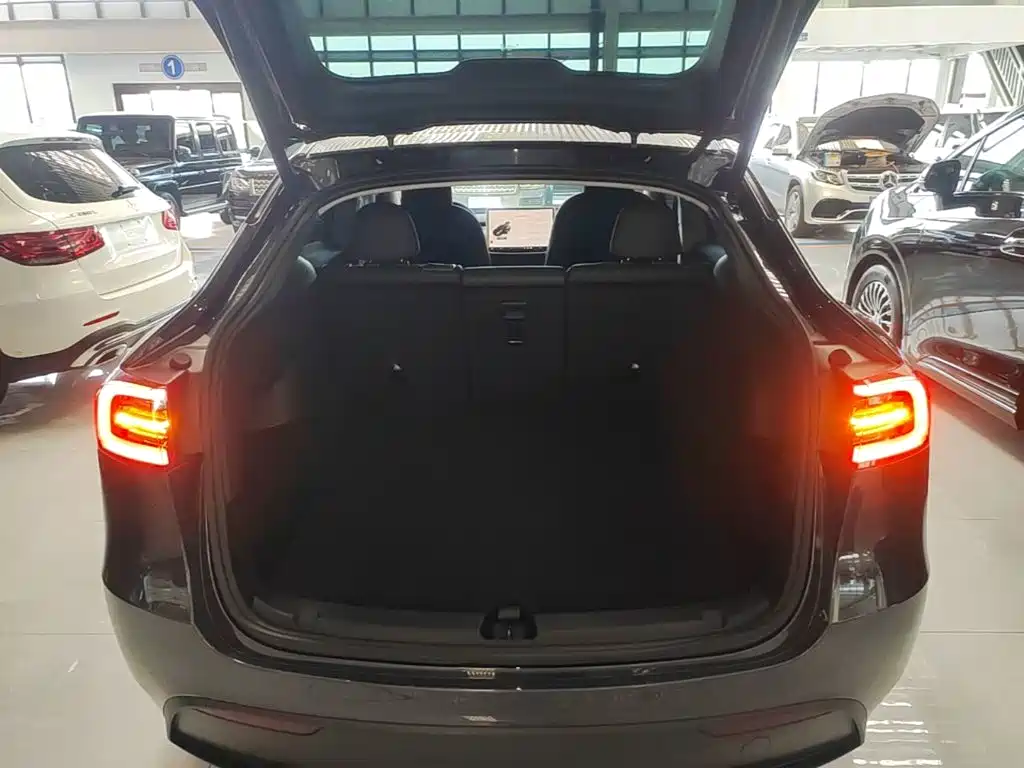 Tesla Model Y — фото 19