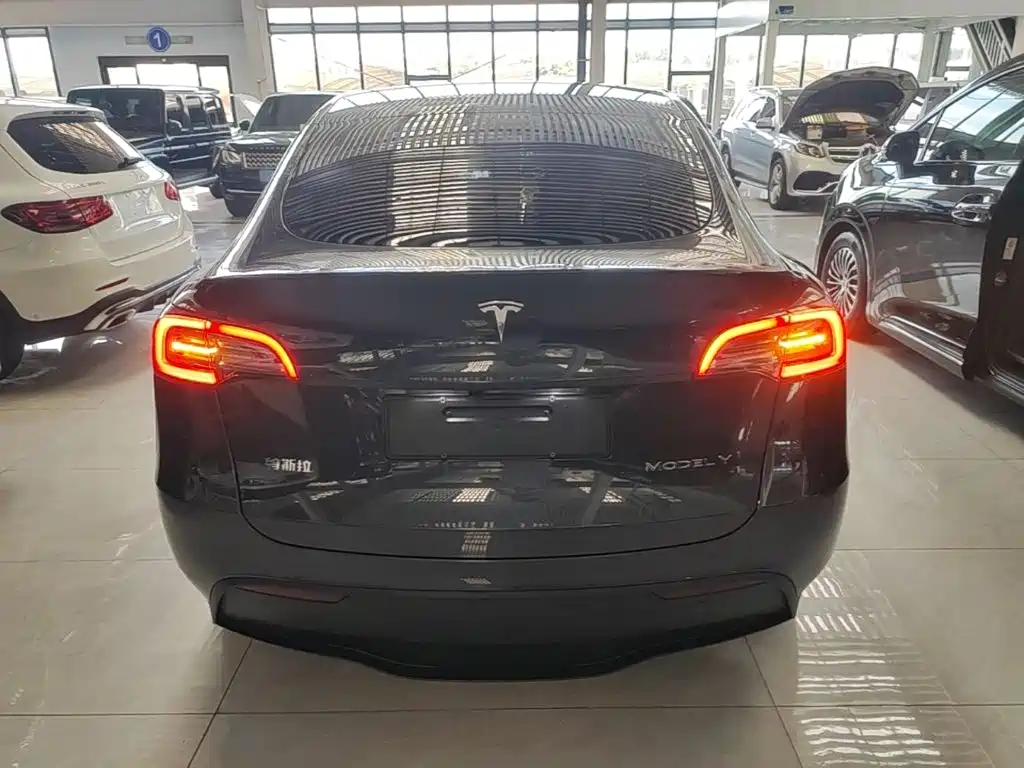 Tesla Model Y — фото 6
