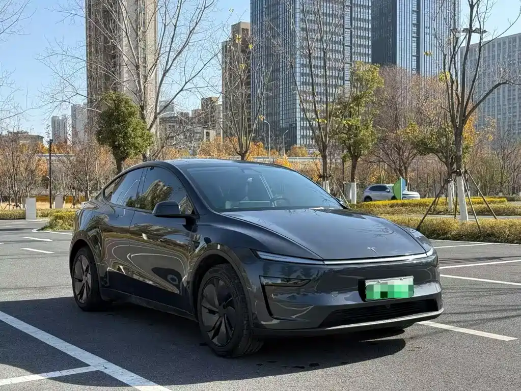 Tesla Model Y — фото 3