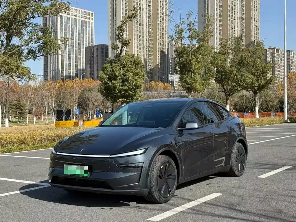 Tesla Model Y — фото 1