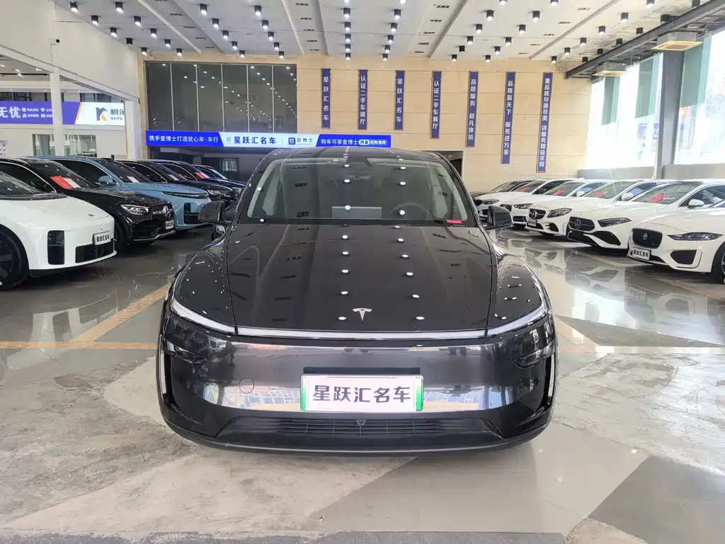 Tesla Model Y — фото 2