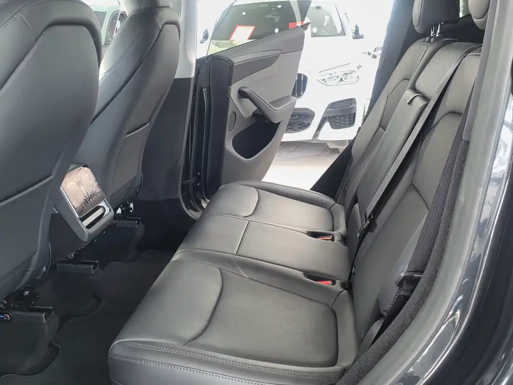 Tesla Model Y — фото 11