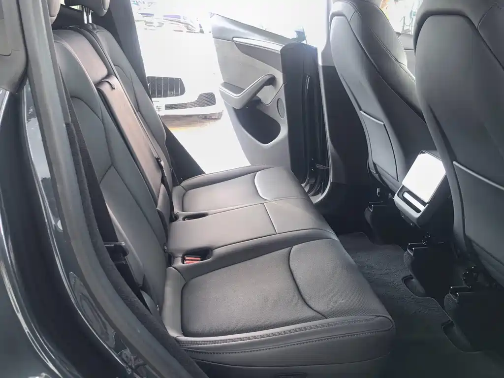 Tesla Model Y — фото 14