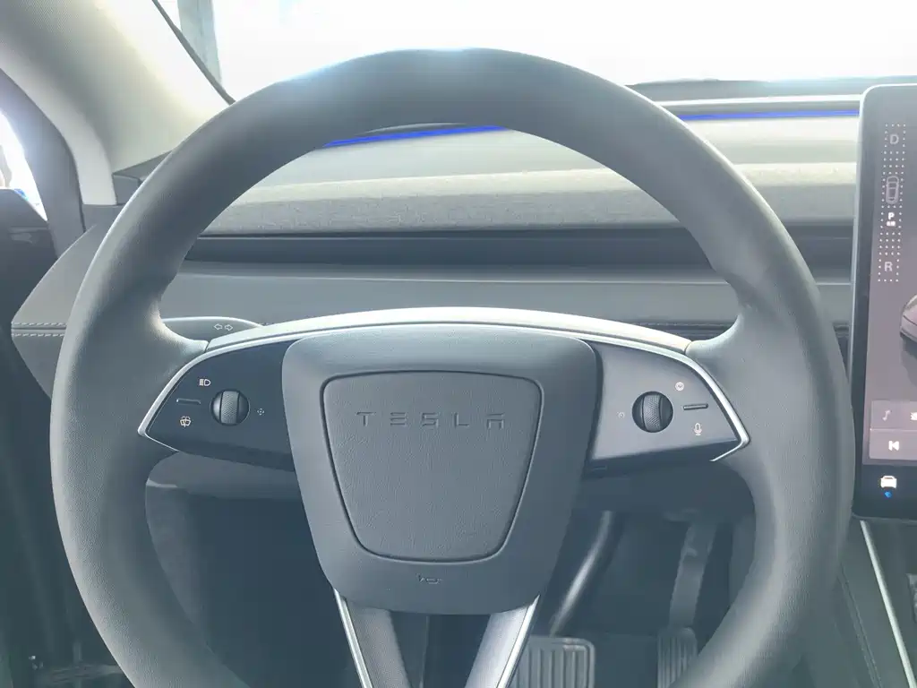 Tesla Model Y — фото 18