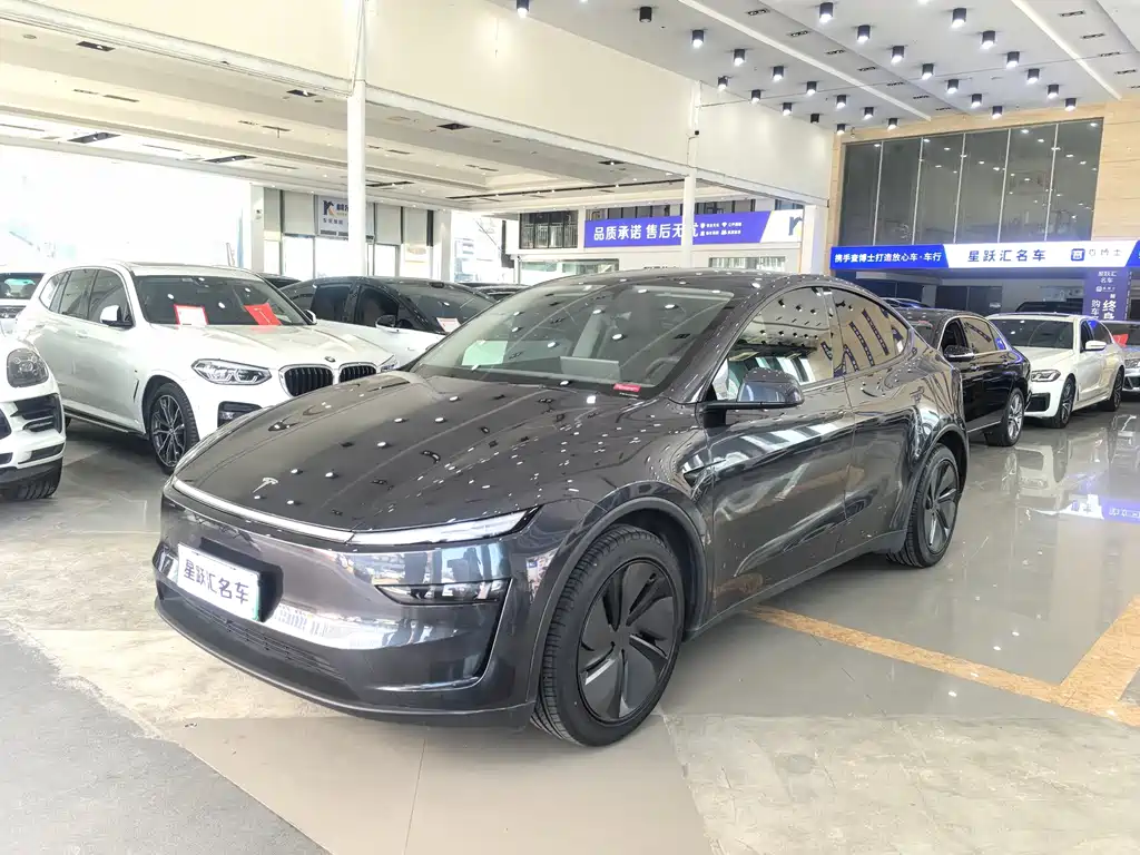 Tesla Model Y — фото 1