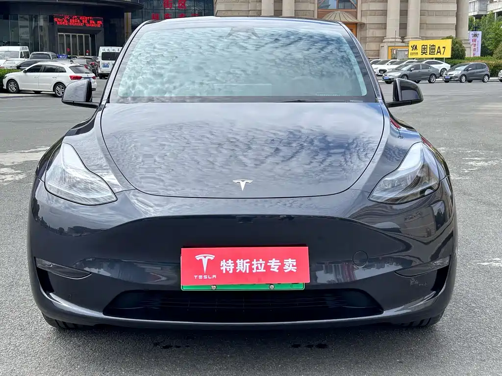 Tesla Model Y — фото 2