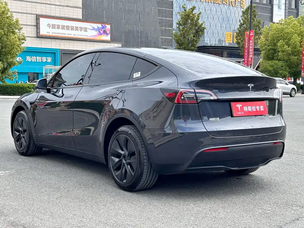 Tesla Model Y — фото 11