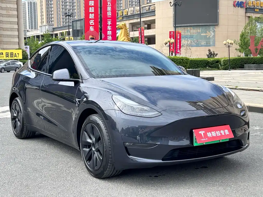Tesla Model Y — фото 3