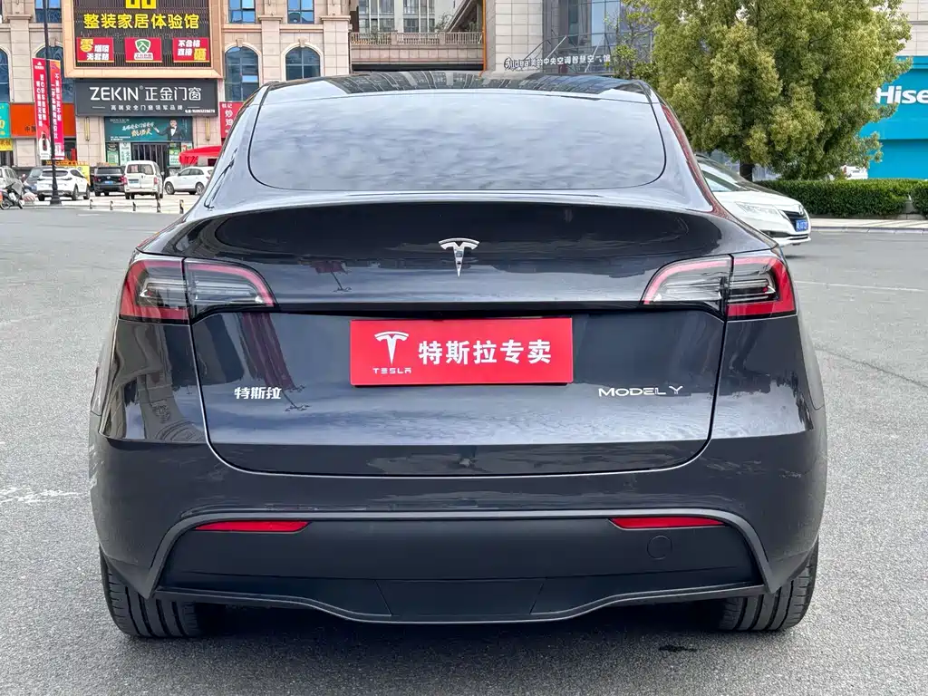 Tesla Model Y — фото 9