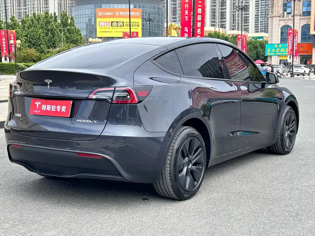 Tesla Model Y — фото 10