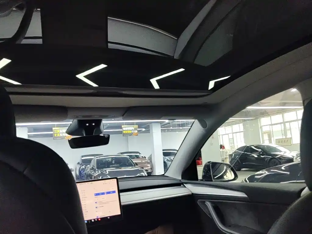 Tesla Model Y — фото 14
