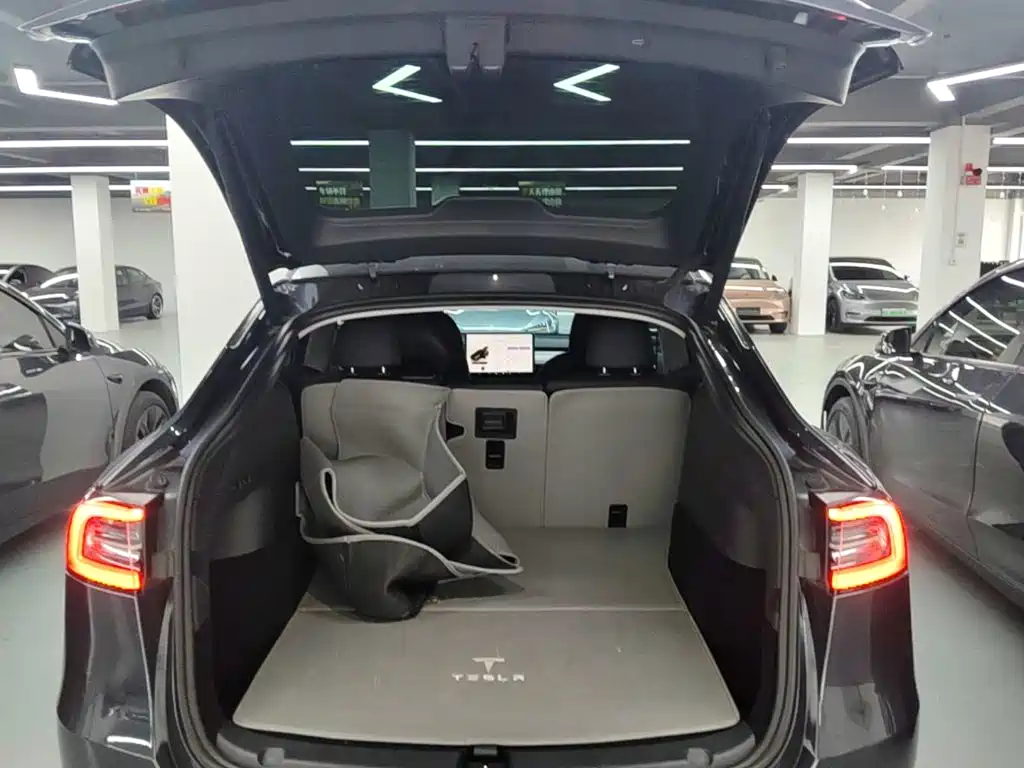 Tesla Model Y — фото 15