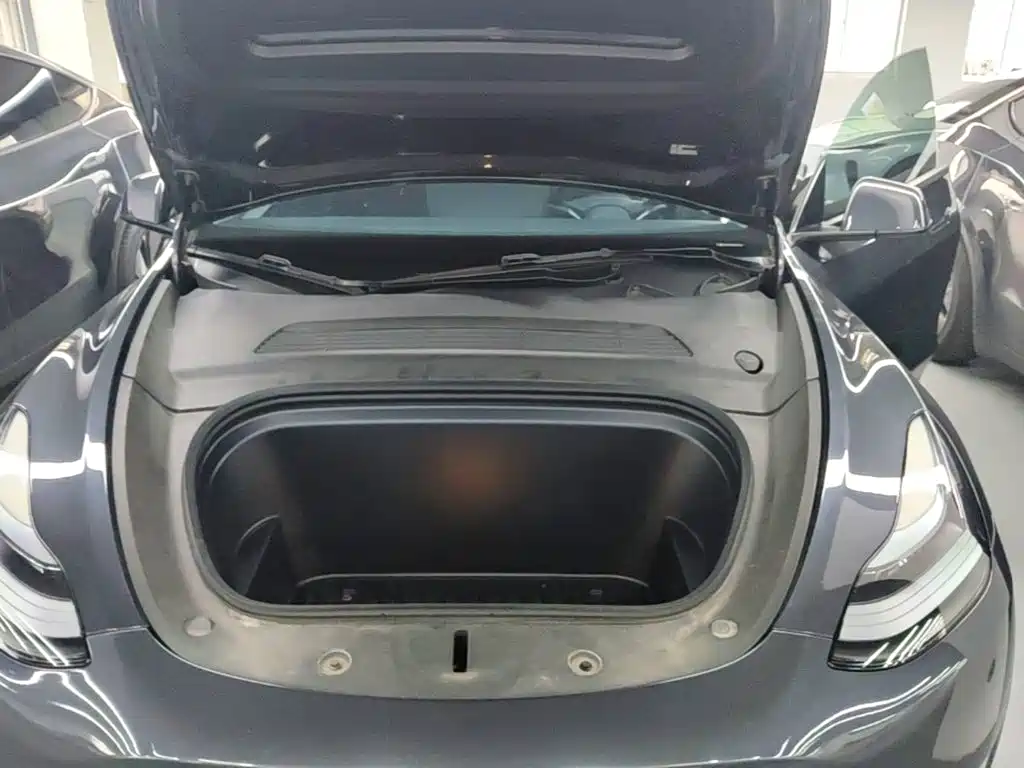 Tesla Model Y — фото 16