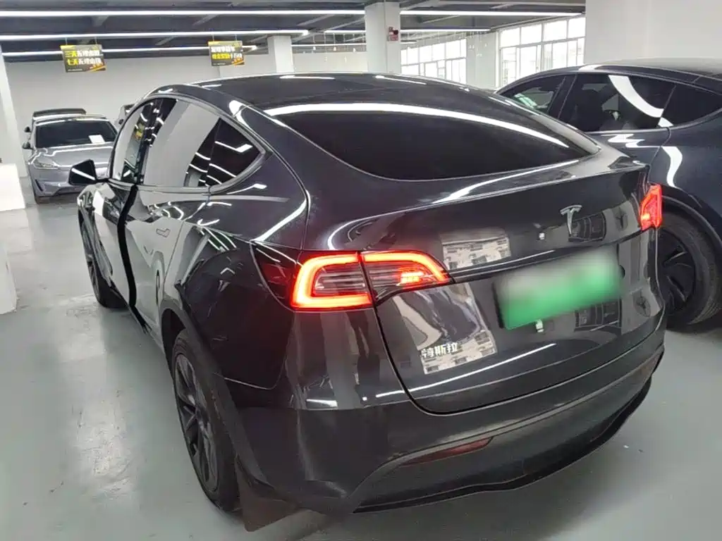 Tesla Model Y — фото 23