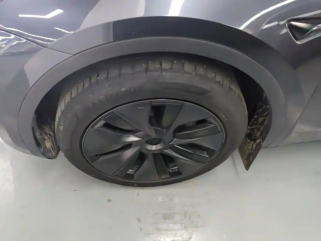 Tesla Model Y — фото 25