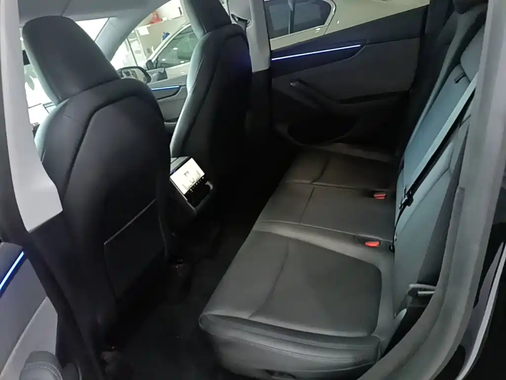 Tesla Model Y — фото 17