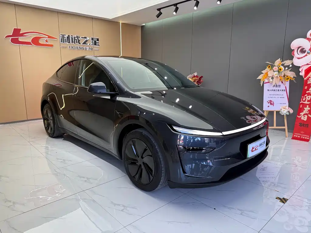 Tesla Model Y — фото 3