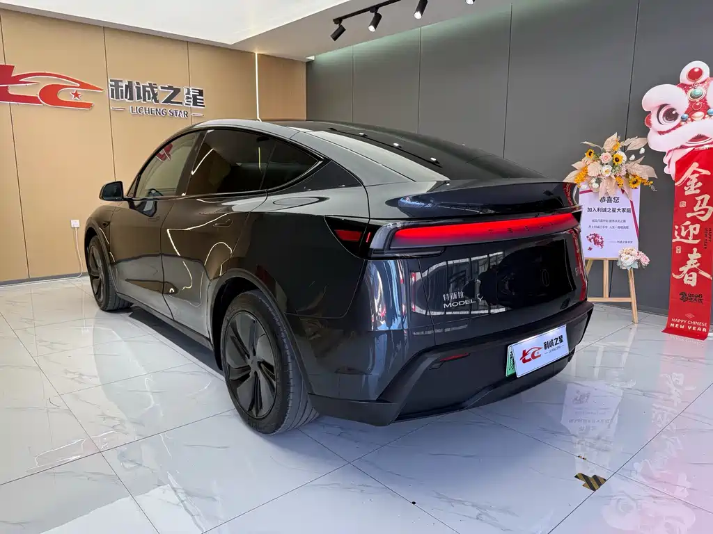 Tesla Model Y — фото 8