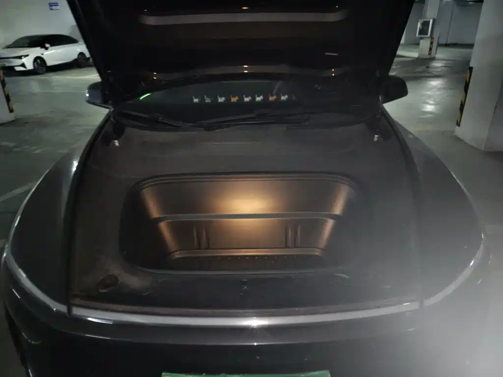 Tesla Model Y — фото 11