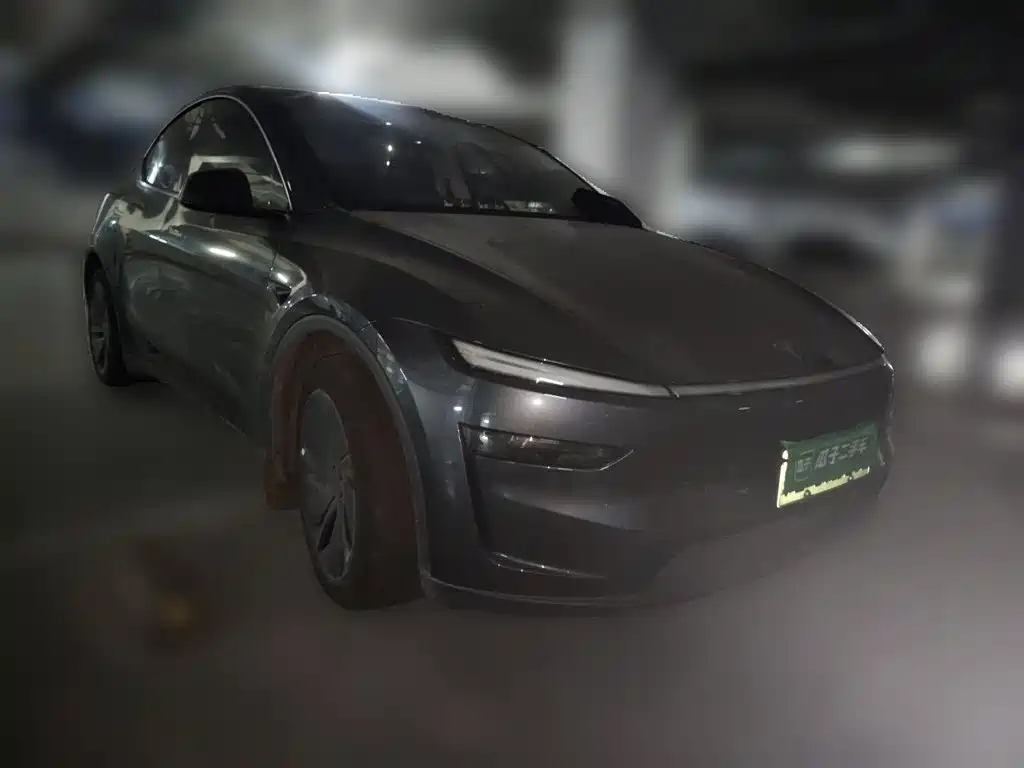 Tesla Model Y — фото 25