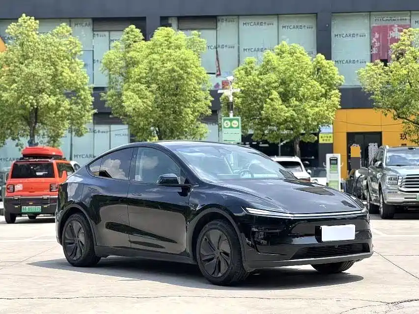 Tesla Model Y — фото 3