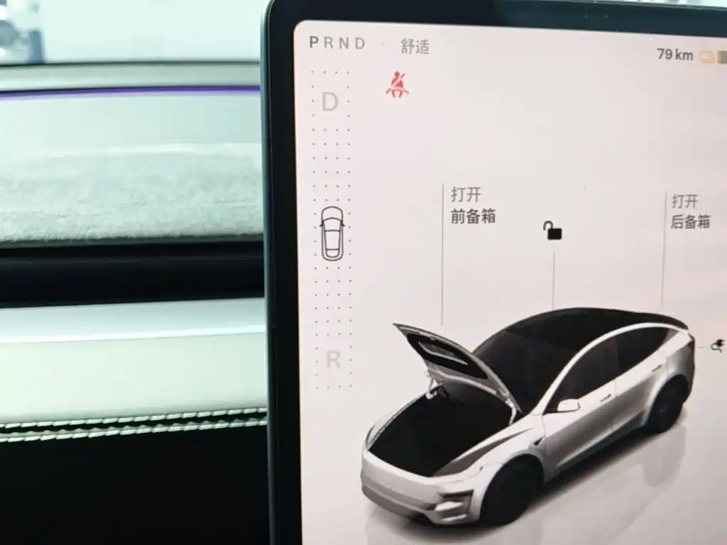 Tesla Model Y — фото 14