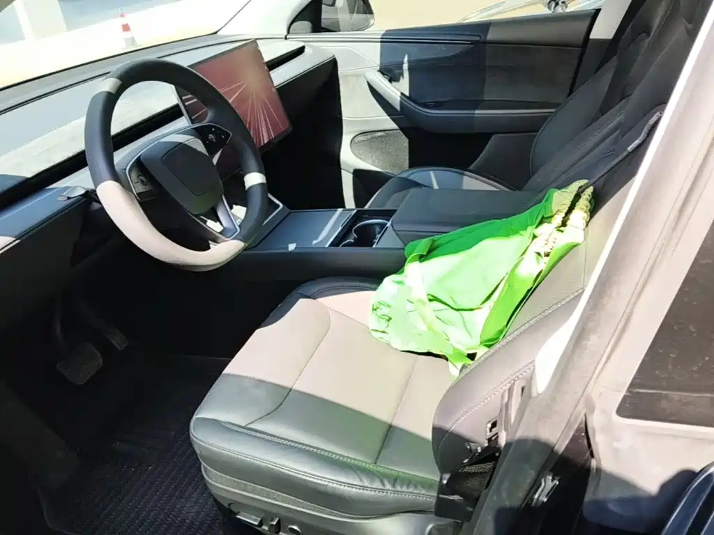 Tesla Model Y — фото 15