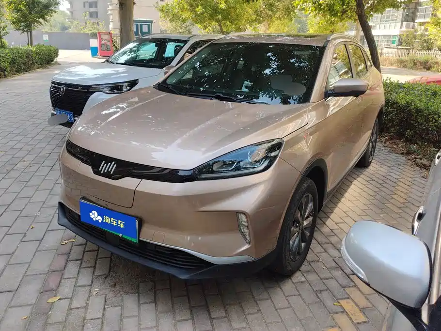 WM Motor EX5
