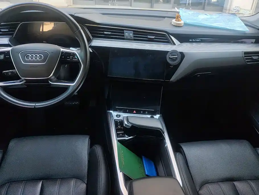 Audi e-tron (Import) — фото 13