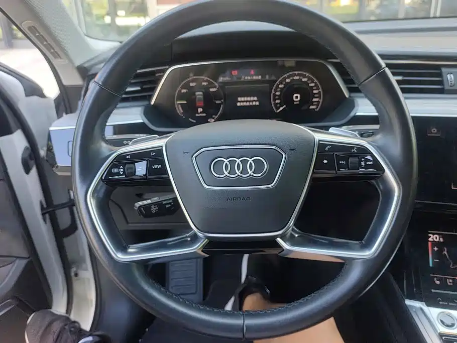 Audi e-tron (Import) — фото 15