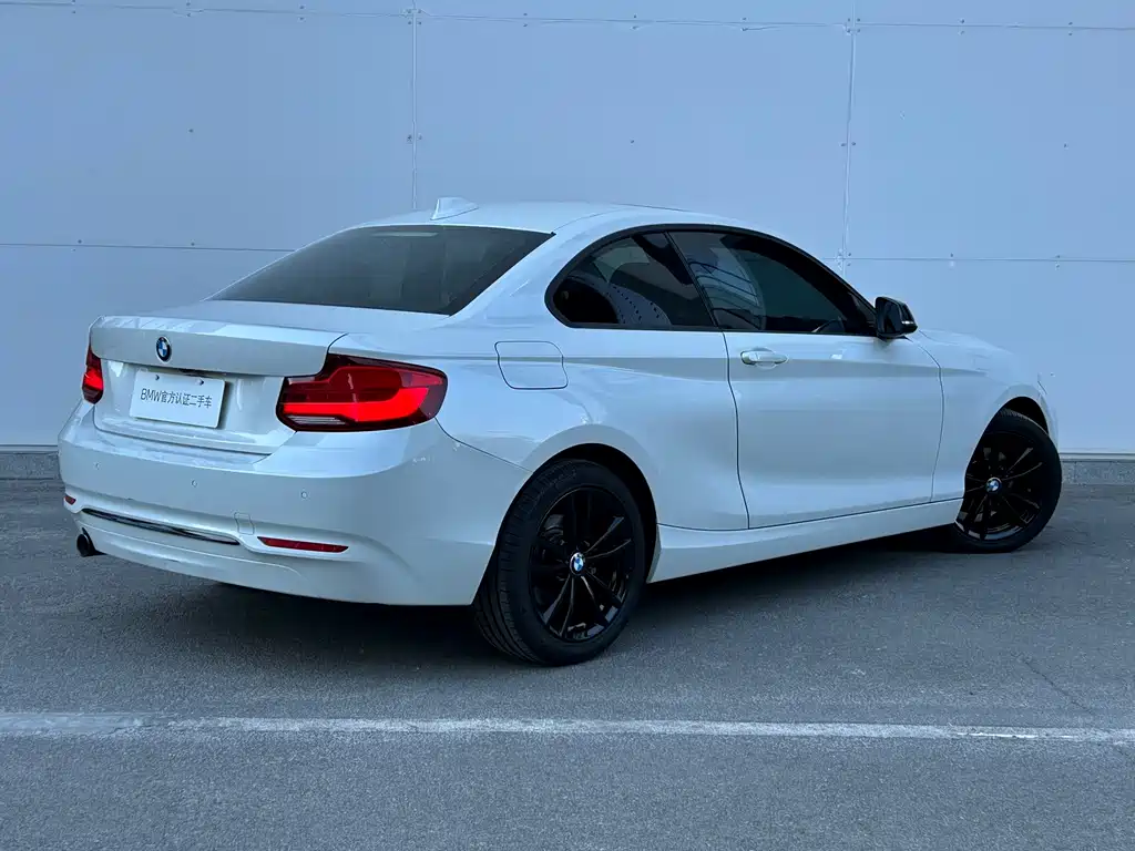 BMW 2 Series (Import) — фото 10