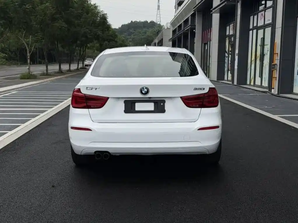 BMW 3 Series GT — фото 6