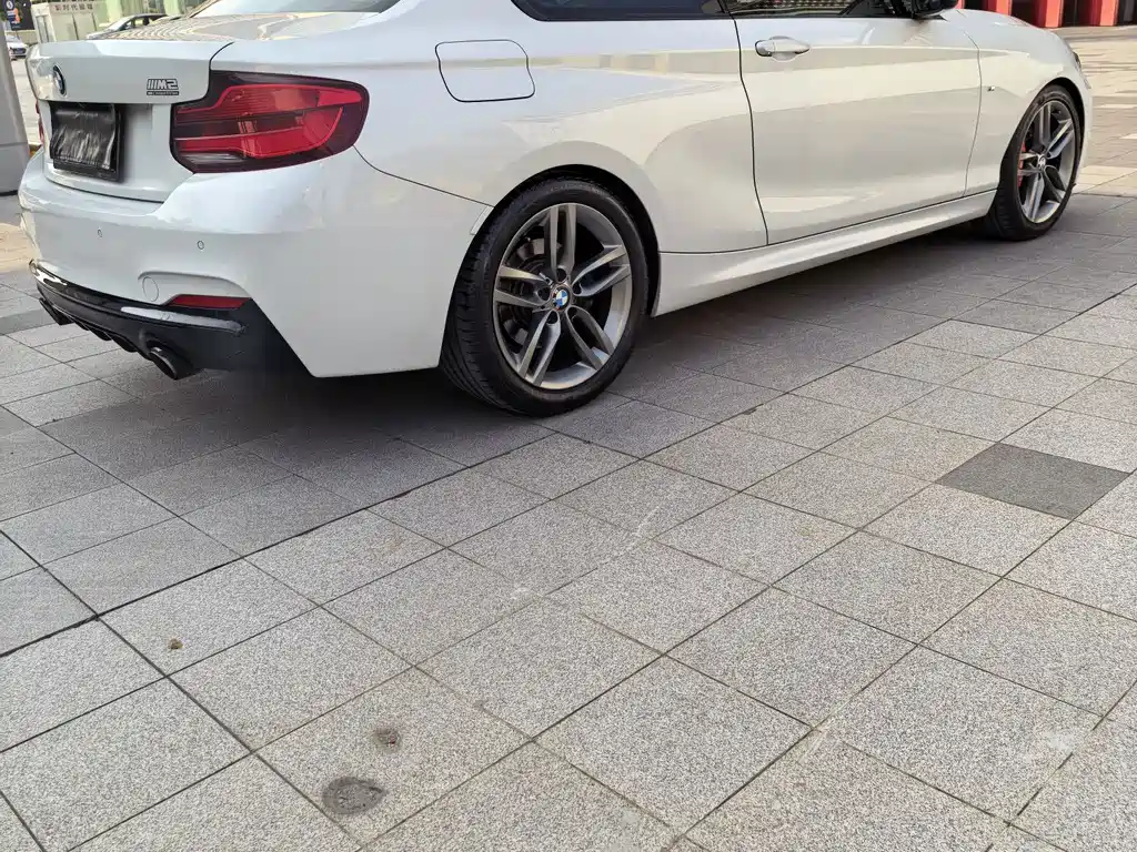 BMW 2 Series (Import) — фото 7