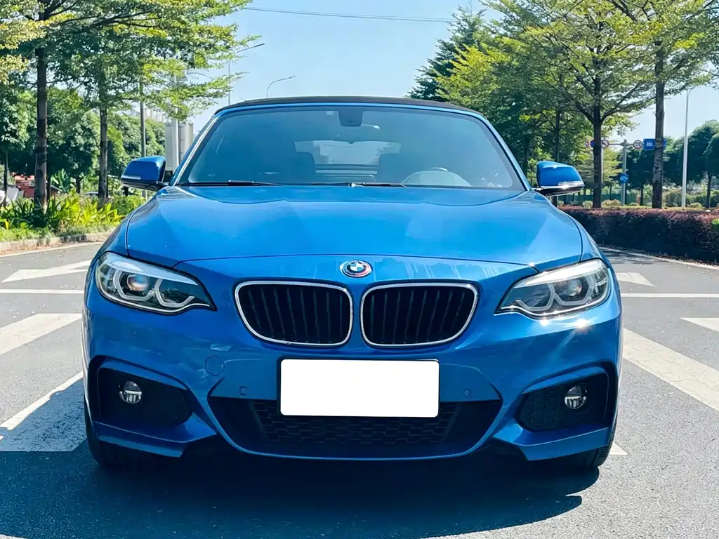 BMW 2 Series (Import) — фото 2