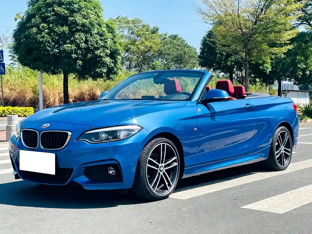 BMW 2 Series (Import) — фото 9