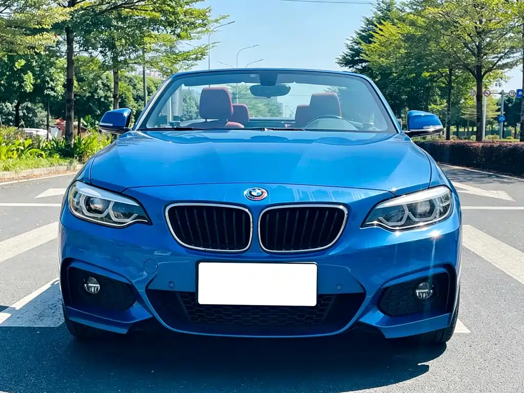 BMW 2 Series (Import) — фото 10