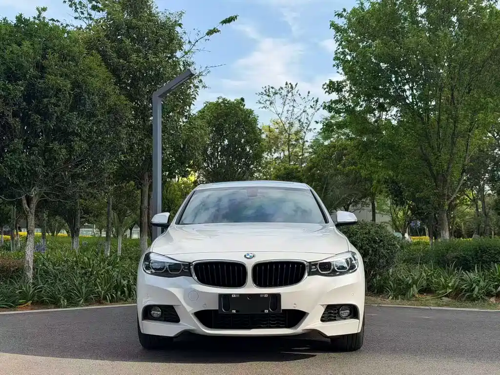 BMW 3 Series GT — фото 2