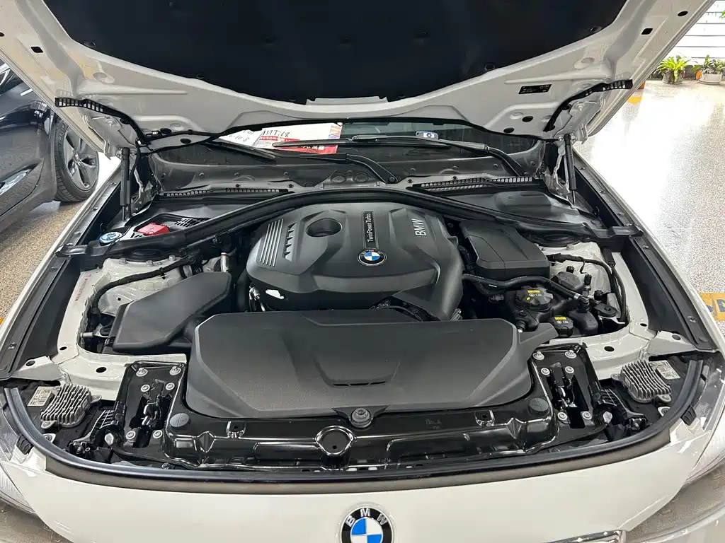 BMW 3 Series GT — фото 15