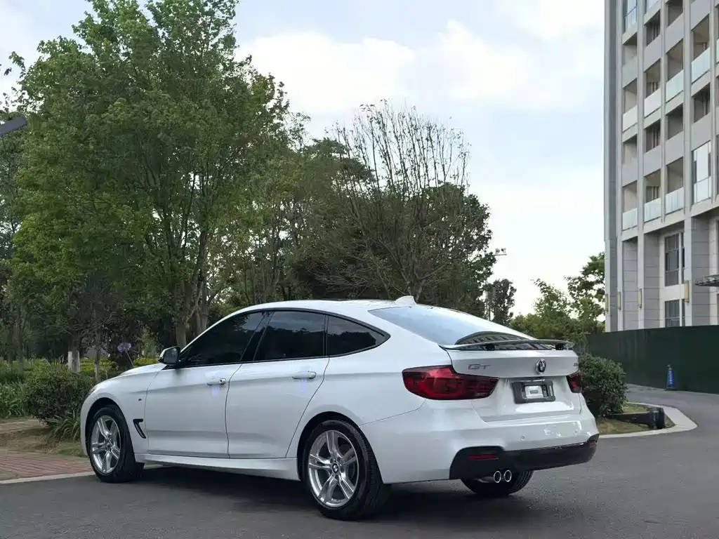 BMW 3 Series GT — фото 9