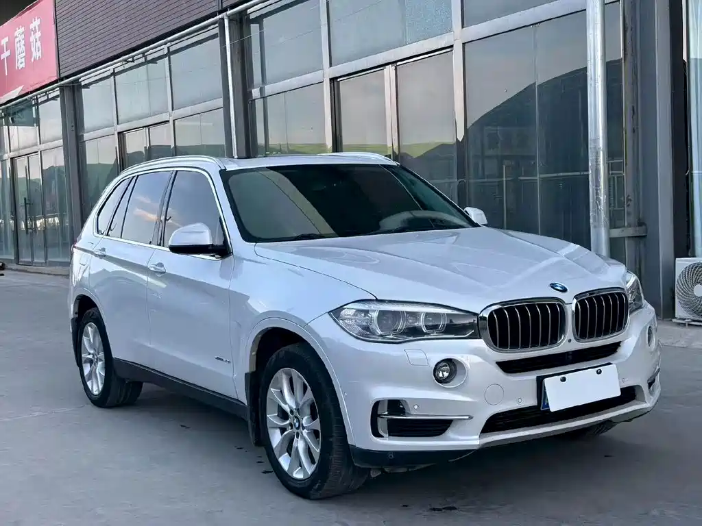 BMW X5 (Import) — фото 3