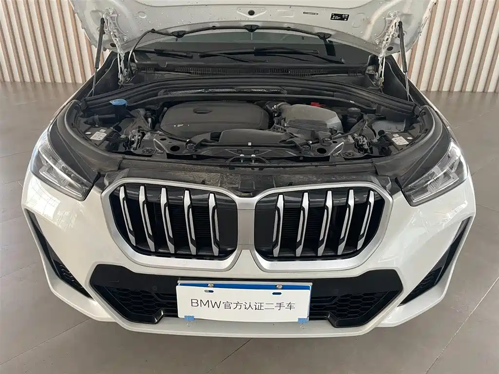 BMW X1 — фото 9