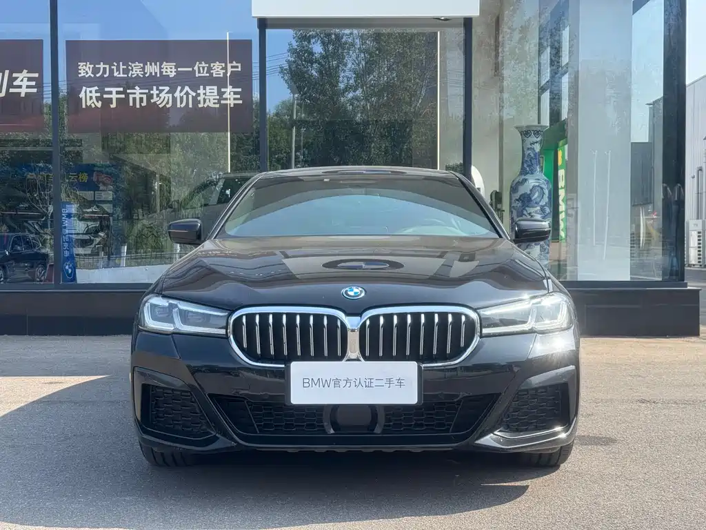 BMW 5 Series New Energy — фото 3