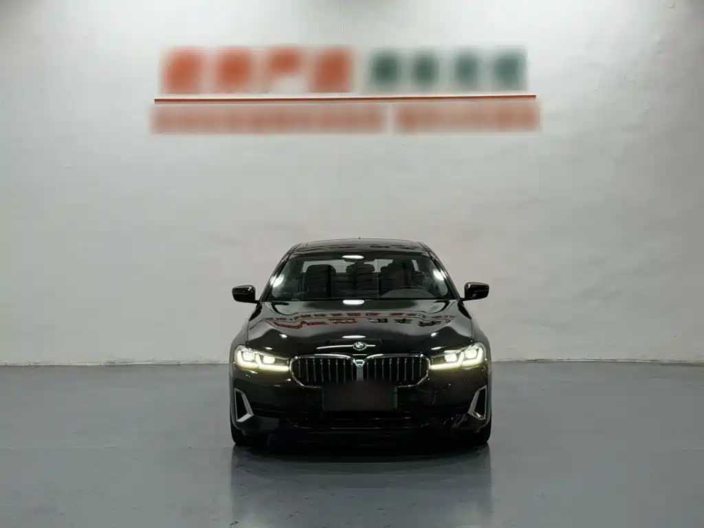 BMW 5 Series New Energy — фото 8